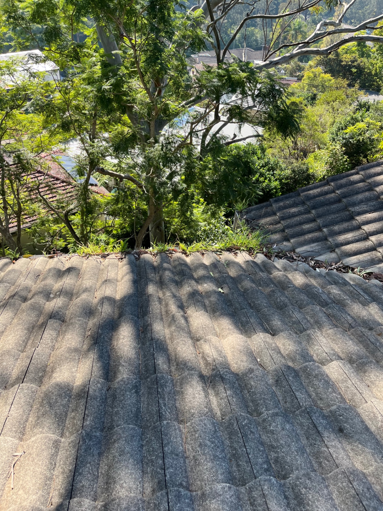 Gutter Cleaning work completed by Jolly Exterior Care