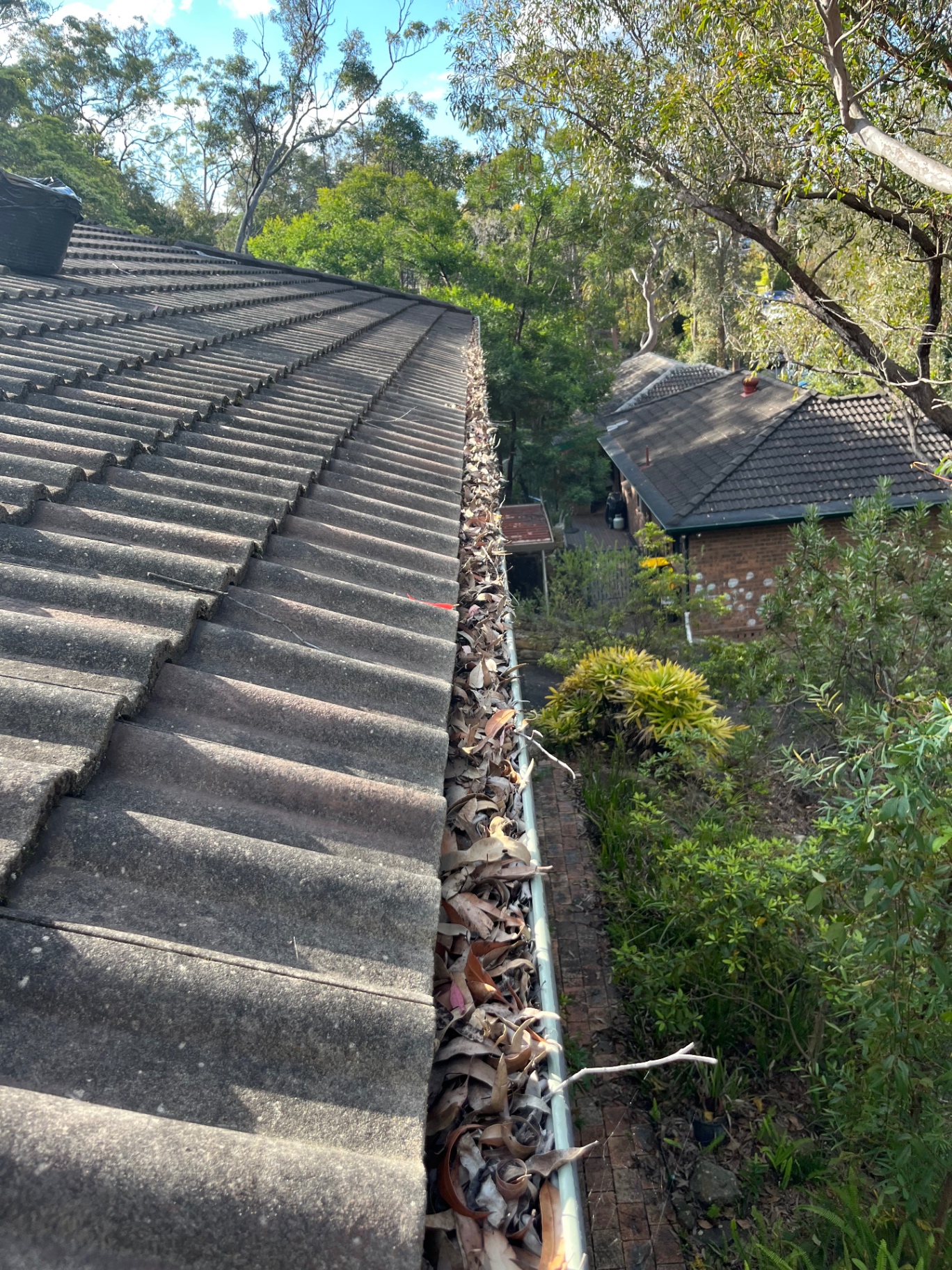 Roof gutter filled with dry leaves before a gutter clean on a Penrith home
