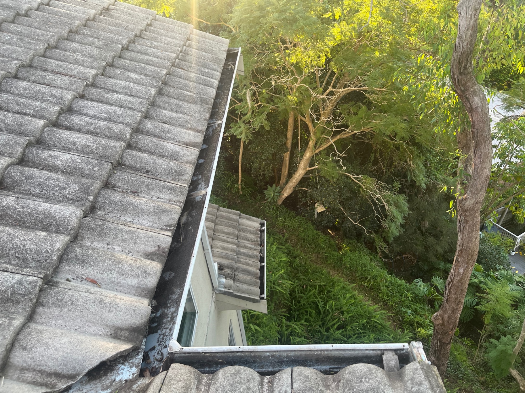 Gutter Cleaning work completed by Jolly Exterior Care