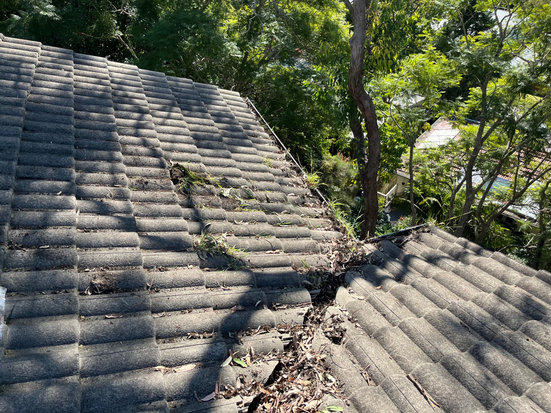 Gutter Cleaning work completed by Jolly Exterior Care